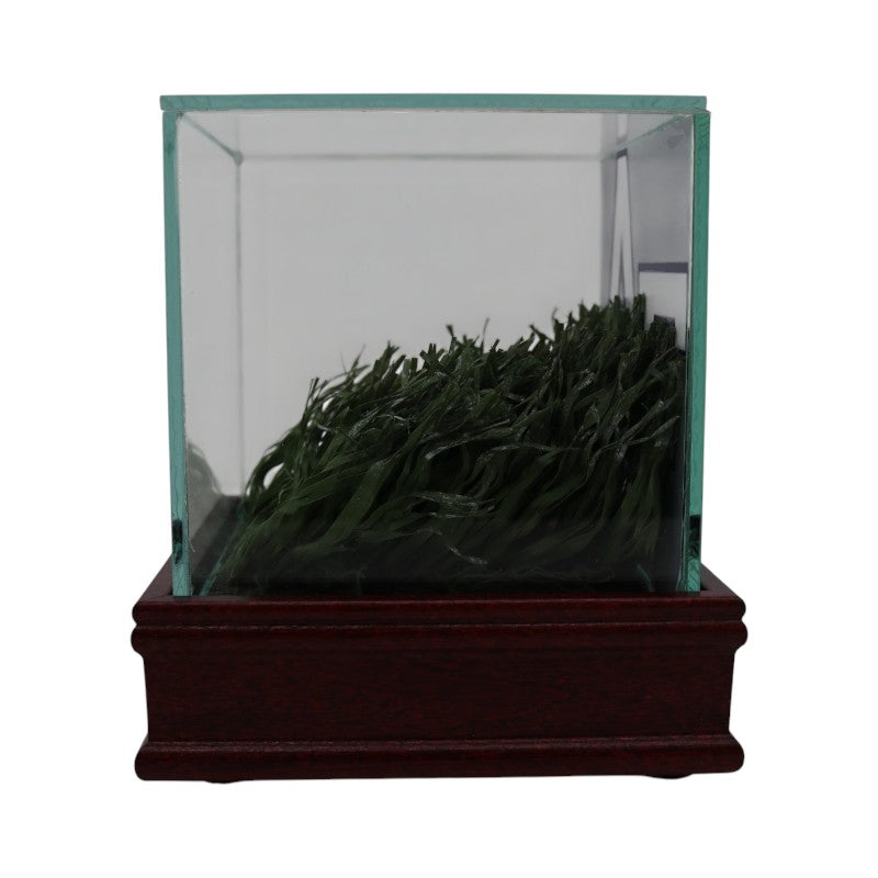 US Air Force Academy Authentic Piece of Falcon Stadium Turf with Case USAF/CX COA