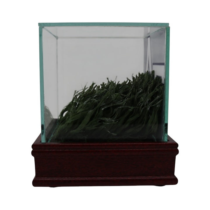 US Air Force Academy Authentic Piece of Falcon Stadium Turf with Case USAF/CX COA