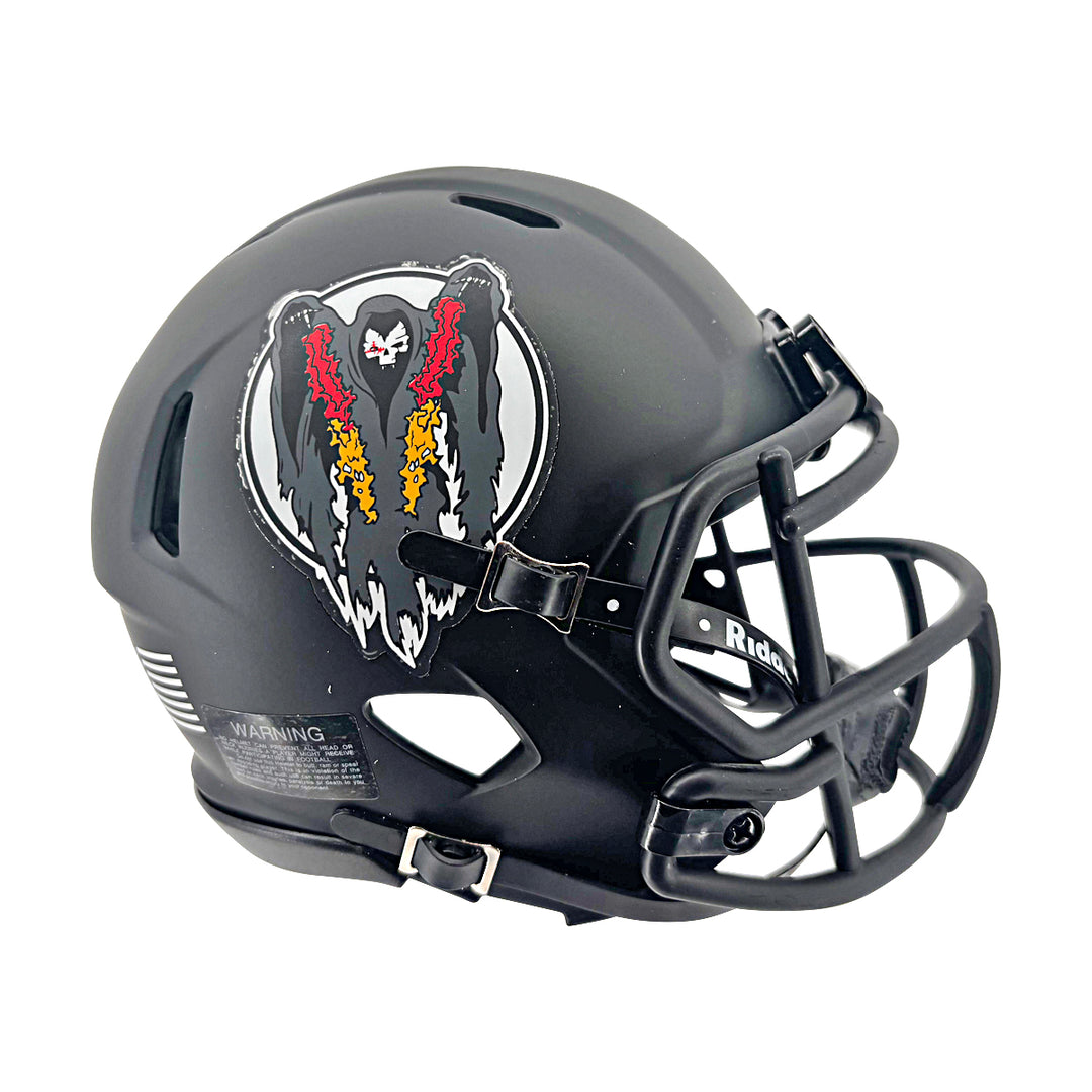 U.S. Air Force Academy Ghost Rider Replica Riddell Mini Helmet – CollectibleXchange