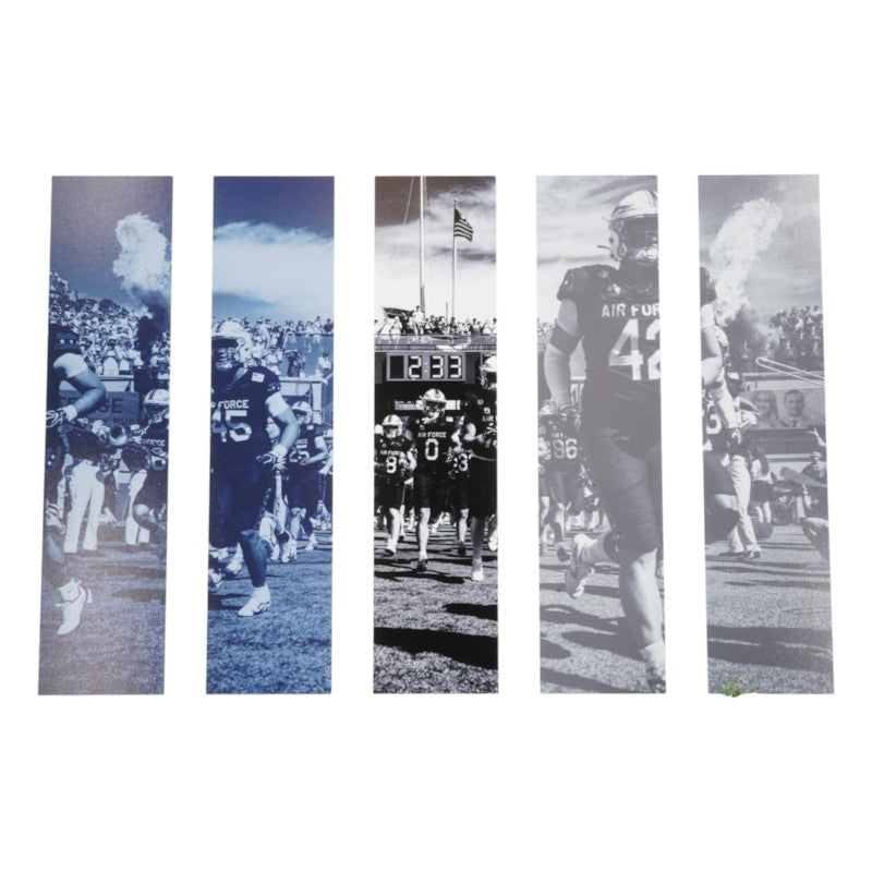 US Air Force Academy Authentic Turf and Goalpost from Falcon Stadium Framed Collage USAF/CX COA