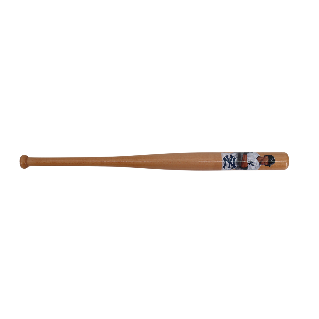 Aaron Judge New York Yankees 18" Coopersburg Mini Bat