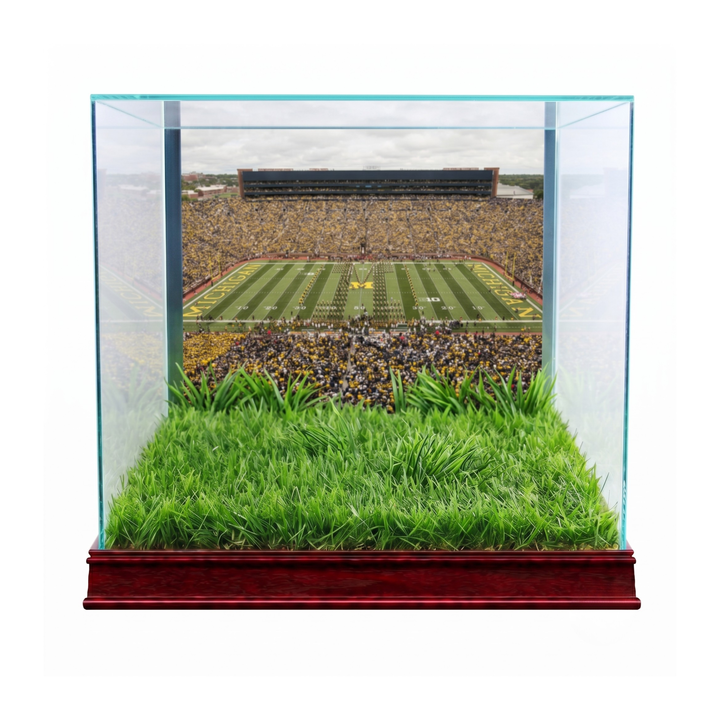 University of Michigan Authentic Turf Football Helmet Display Case