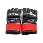 Natan Schulte 2023 PFL 3 Autographed Fight Worn Gloves