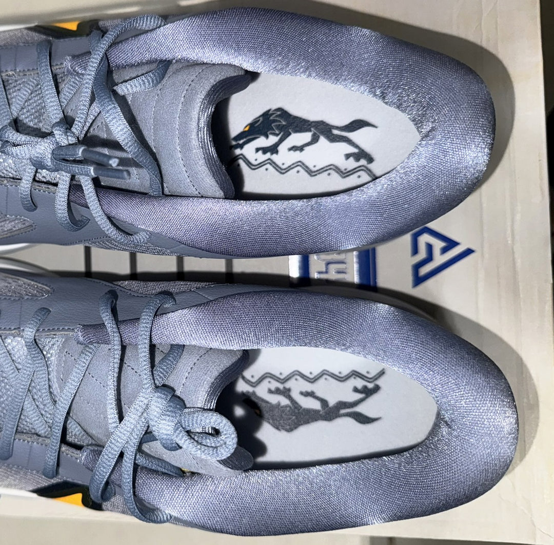 Giannis Signed 2024 PE Promo Nike Zoom Freak 6 Shoes Size 17 BAS Witness