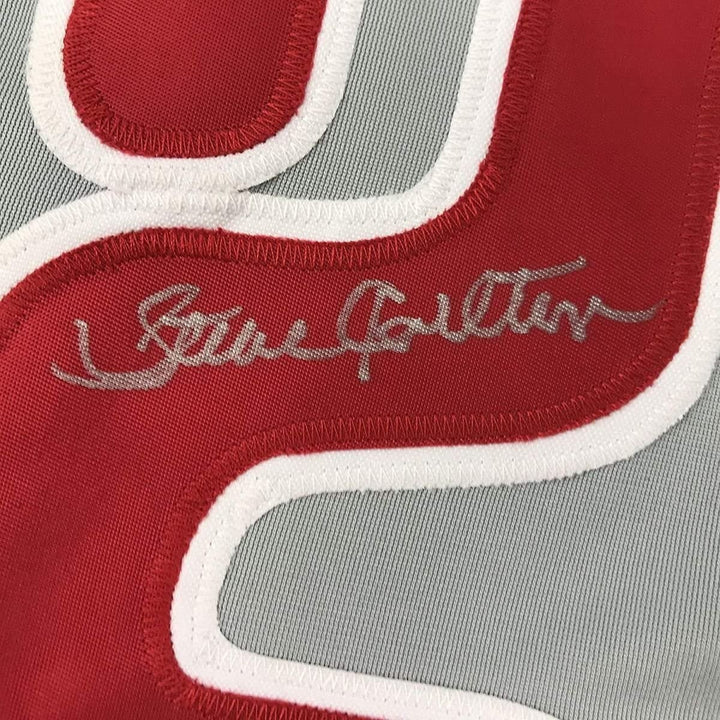 FRAMED Signed STEVE CARLTON 35x39 Philadelphia Grey Jersey JSA COA