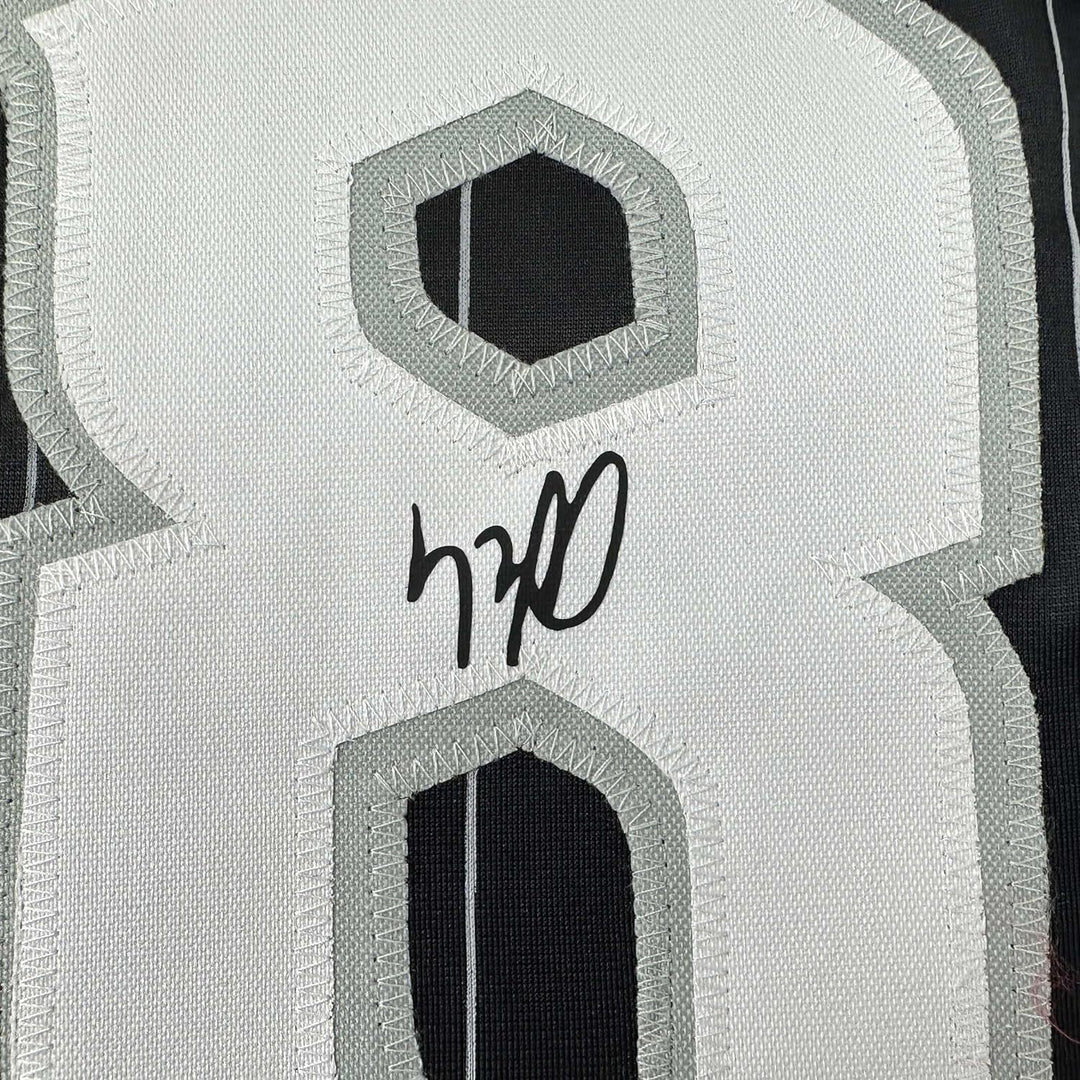 Framed Facsimile Autographed Luis Robert 33x42 Black Reprint Laser Auto Jersey