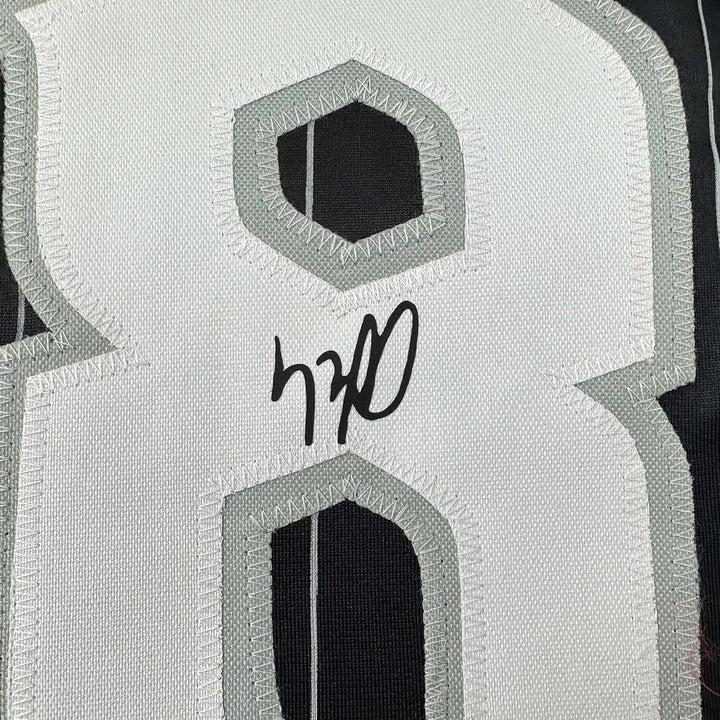 Framed Facsimile Autographed Luis Robert 33x42 Black Reprint Laser Auto Jersey