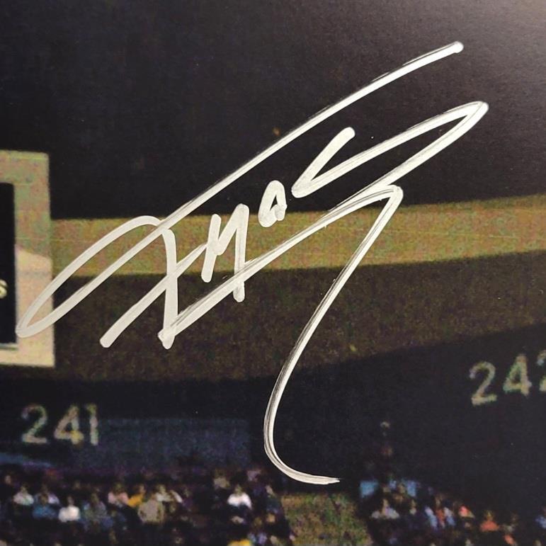 Tracy McGrady T-Mac signed Magic 16x20 photo Dunk autograph ~ Fanatics Holo