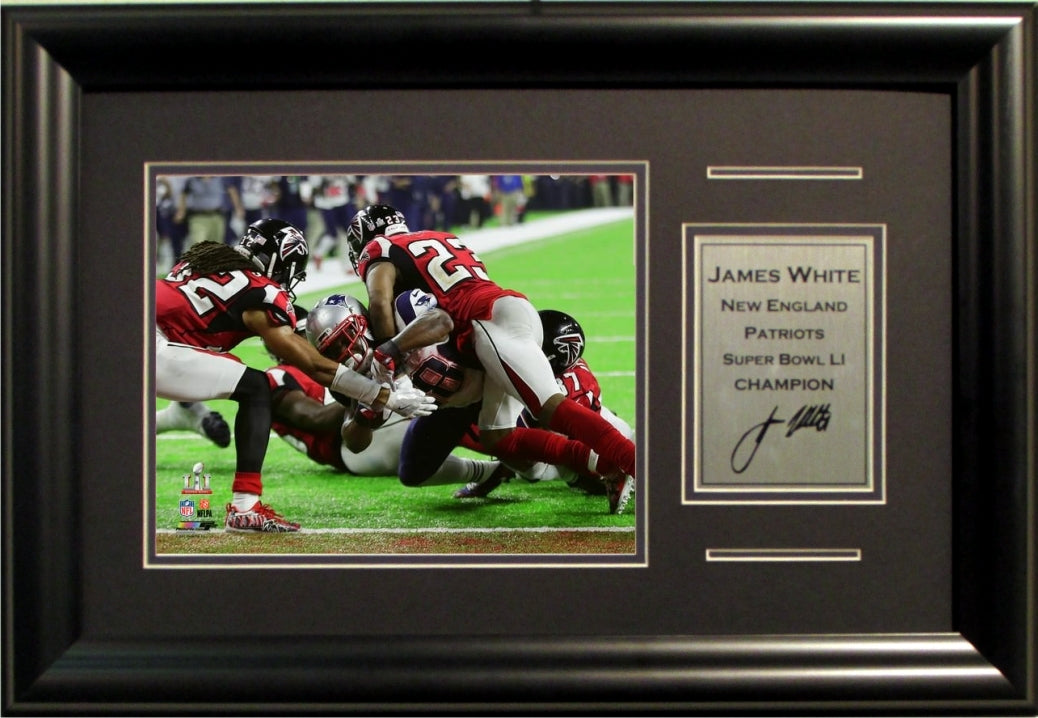 James White Super Bowl 51 Champions 8x10 game winning touchdown photo framed