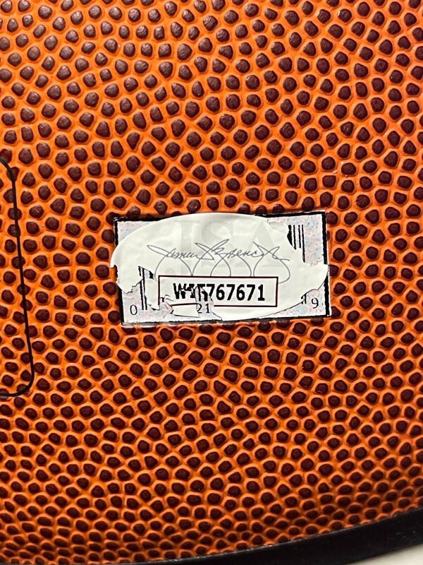 Bill Walton signed NBA Spalding White Panel Basketball- JSA Witnessed #WIT767671