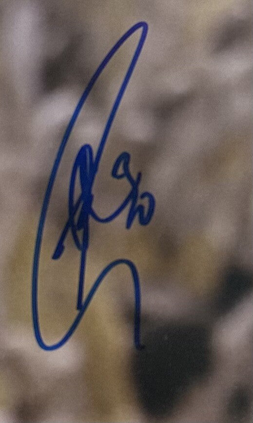 Stephen Curry Signed Framed 16x20 Steiner Photo Warriors Mint Autograph JSA COA