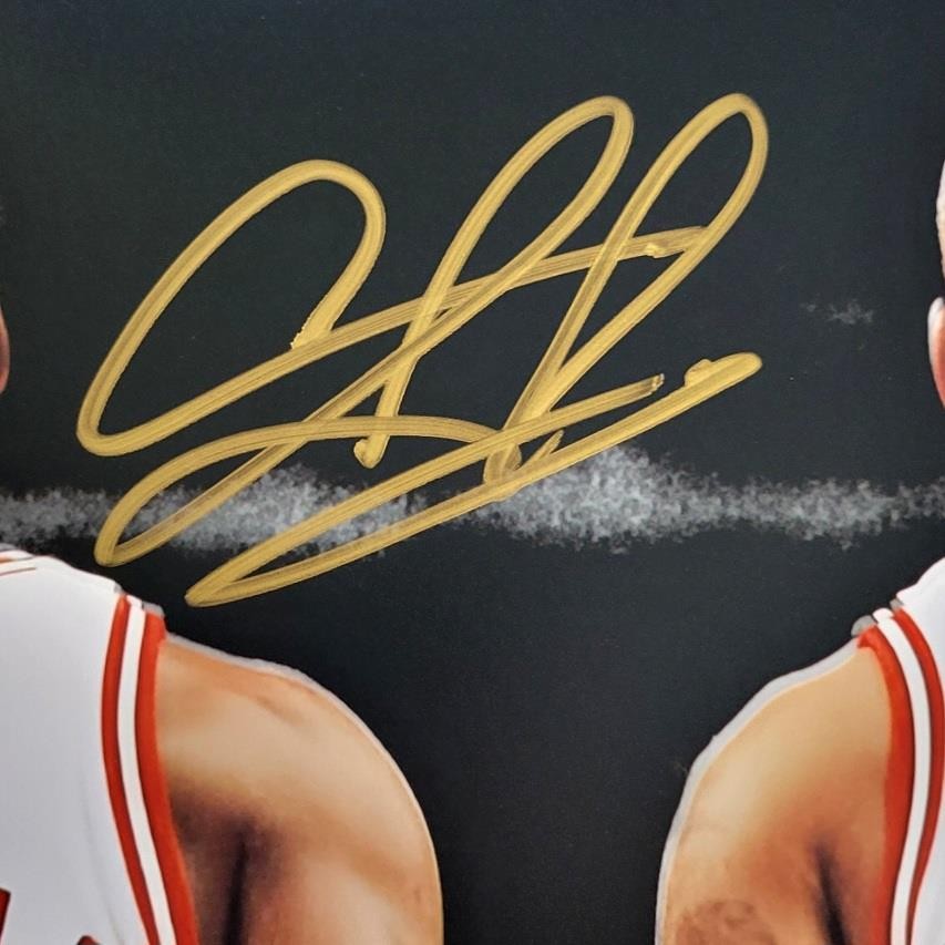 Dennis Rodman signed Bulls 16x20 photo autograph w/ Michael Jordan ~ Beckett BAS