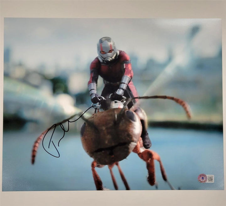 Paul Rudd signed Ant Man 11x14 photo Marvel Avengers autograph Beckett BAS Holo