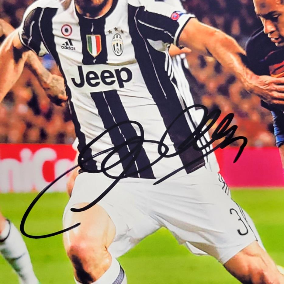 Giorgio Chiellini signed Juventus 8.5x11 photo Italy autograph (B) Beckett BAS