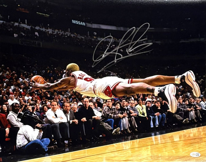 Dennis Rodman Signed 16x20 Chicago Bulls Dive Photo JSA QR