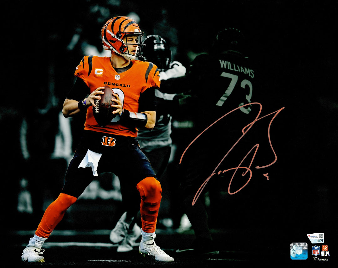 Joe Burrow Signed Framed 16x20 Photo Cincinnati Bengals Spotlight Fanatics Holo