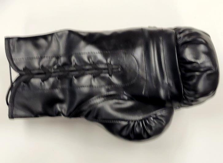 Jermall & Jermell Charlo Brothers signed Boxing Glove autograph ~ Beckett BAS