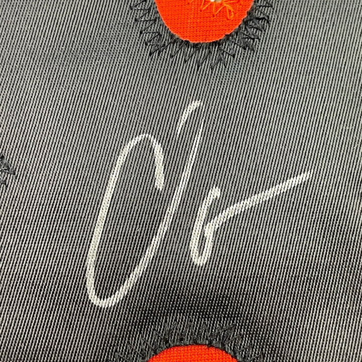 FRAMED Signed CHAD OCHOCINCO Johnson 35x39 White Jersey JSA COA Auto