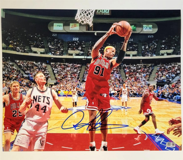 Dennis Rodman autograph signed Bulls 16x20 photo w/ Michael Jordan ~ Beckett BAS