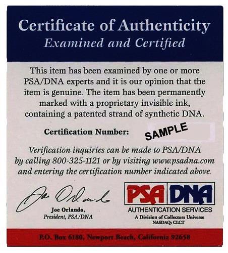 SEAN ASTIN Teenage Mutant Ninja Turtles Signed RAPHAEL Figure Auto PSA DNA COA