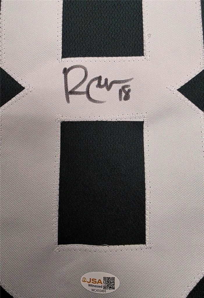 Randall Cobb signed Pro Style Green Bay Packers Jersey autograph ~ JSA Witness