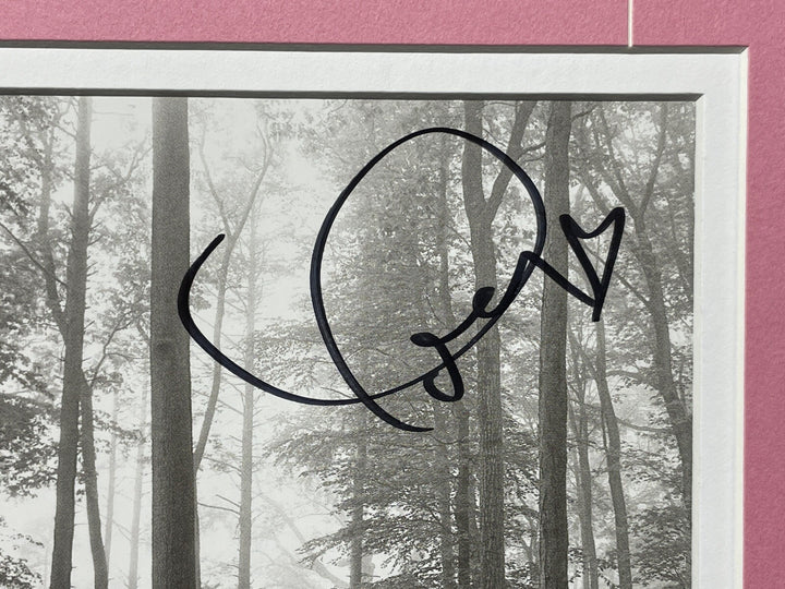 Taylor Swift Signed Folklore CD Cover Framed Album JSA COA Autograph Memorabilia