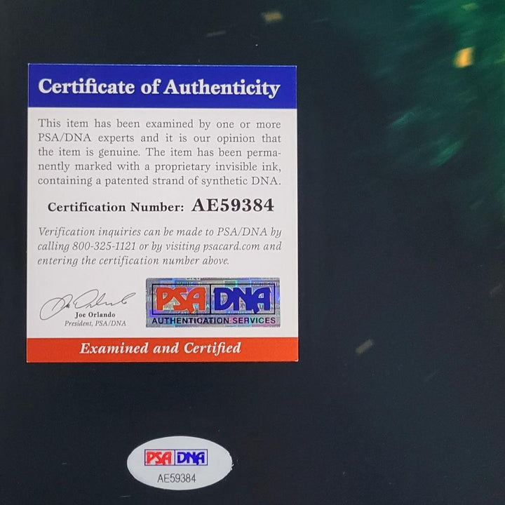 Sheamus signed Wrestling WWE 16x20 photo autograph ~ PSA/DNA COA