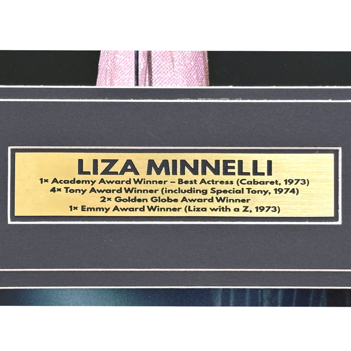 Liza Minnelli Autographed 8x10 Photo JSA Framed Music Singer Signed