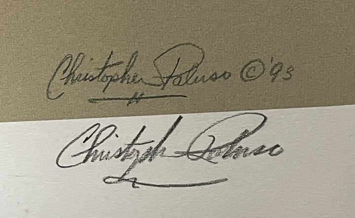 Bill Russell CELTICS Signed 17x23 Framed Litho Photo /600 Suede Autograph COA