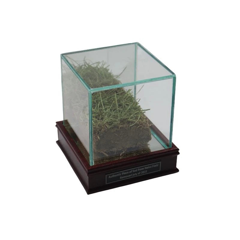 Pittsburgh Steelers Authentic Piece of Freeze Dried Sod from Heinz Field with Display Case