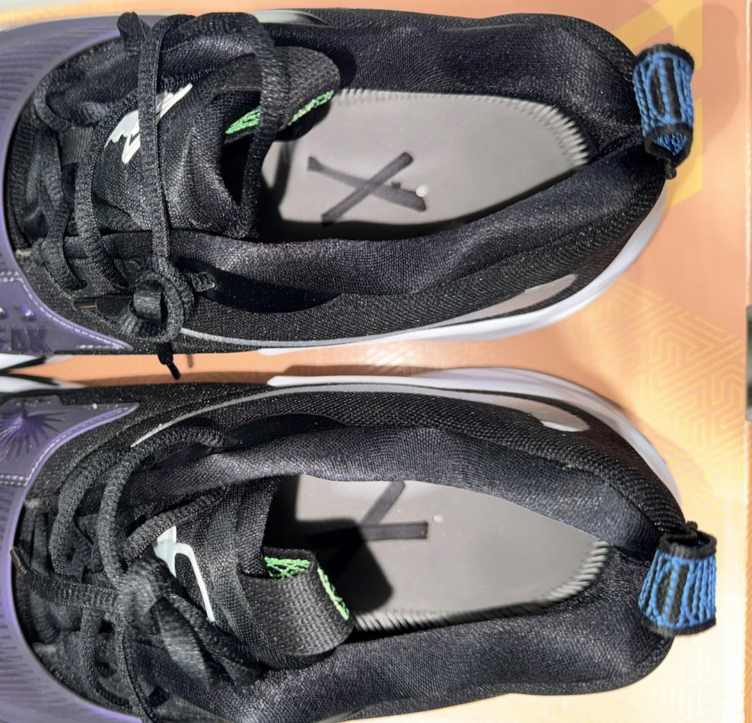 Giannis Signed 2021 PE Promo Nike Zoom Freak 3 NRG Shoes Size 17 BAS Witness