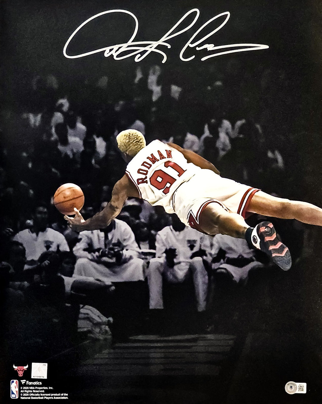 Dennis Rodman Signed 16x20 Photo Chicago Bulls Beckett BAS Witness
