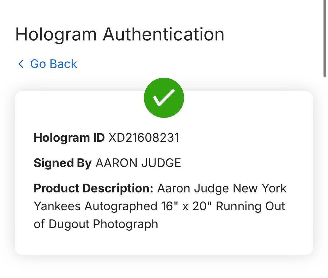 Aaron Judge NY Yankees Signed 16x20 Photo Framed Mint Autograph Fanatics COA