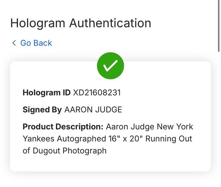 Aaron Judge NY Yankees Signed 16x20 Photo Framed Mint Autograph Fanatics COA