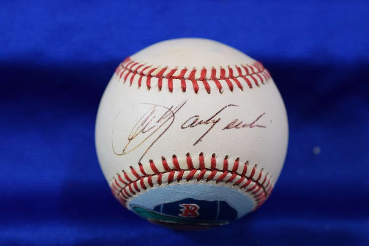 Carl Yastrzemski PSA DNA Autograph American League Hand Painted Baseball Signed
