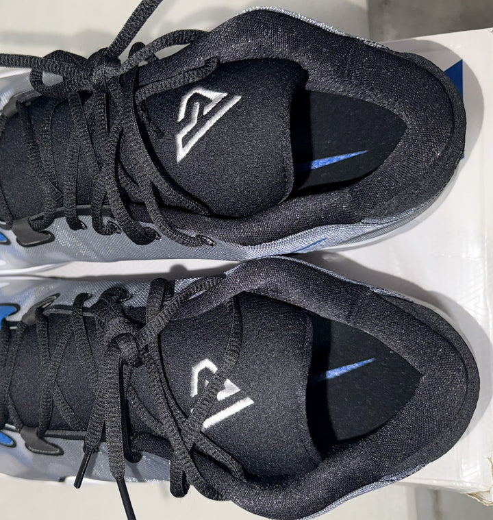 Giannis Signed 2019 PE Promo Nike Zoom Freak 1 MSCO Shoes Size 17 BAS Witness