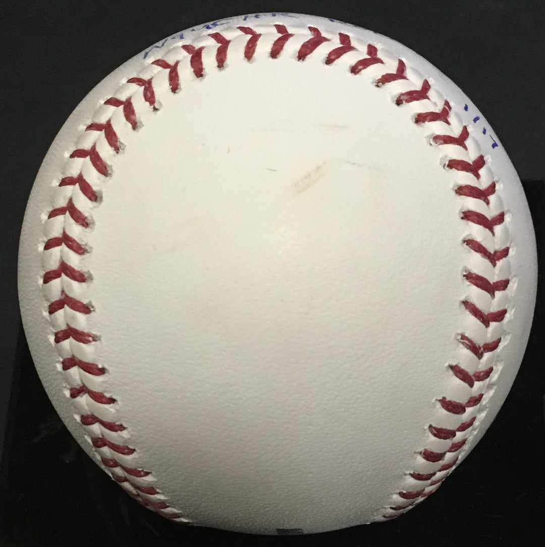 Didi Gregorius Gary Sanchez Yankees signed baseball Most HR auto Steiner 1/17 MT