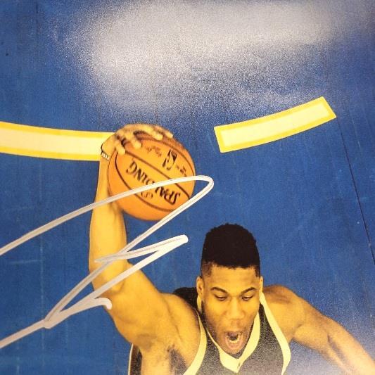 *READ* Giannis Antetokounmpo signed Milwaukee Bucks 16x20 photo autograph ~ JSA