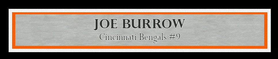 Joe Burrow Signed Framed 16x20 Photo Cincinnati Bengals Fanatics Holo