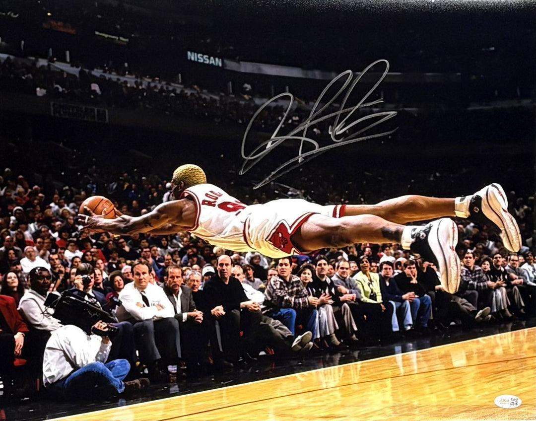 Dennis Rodman Signed 16x20 Chicago Bulls Dive Photo JSA QR