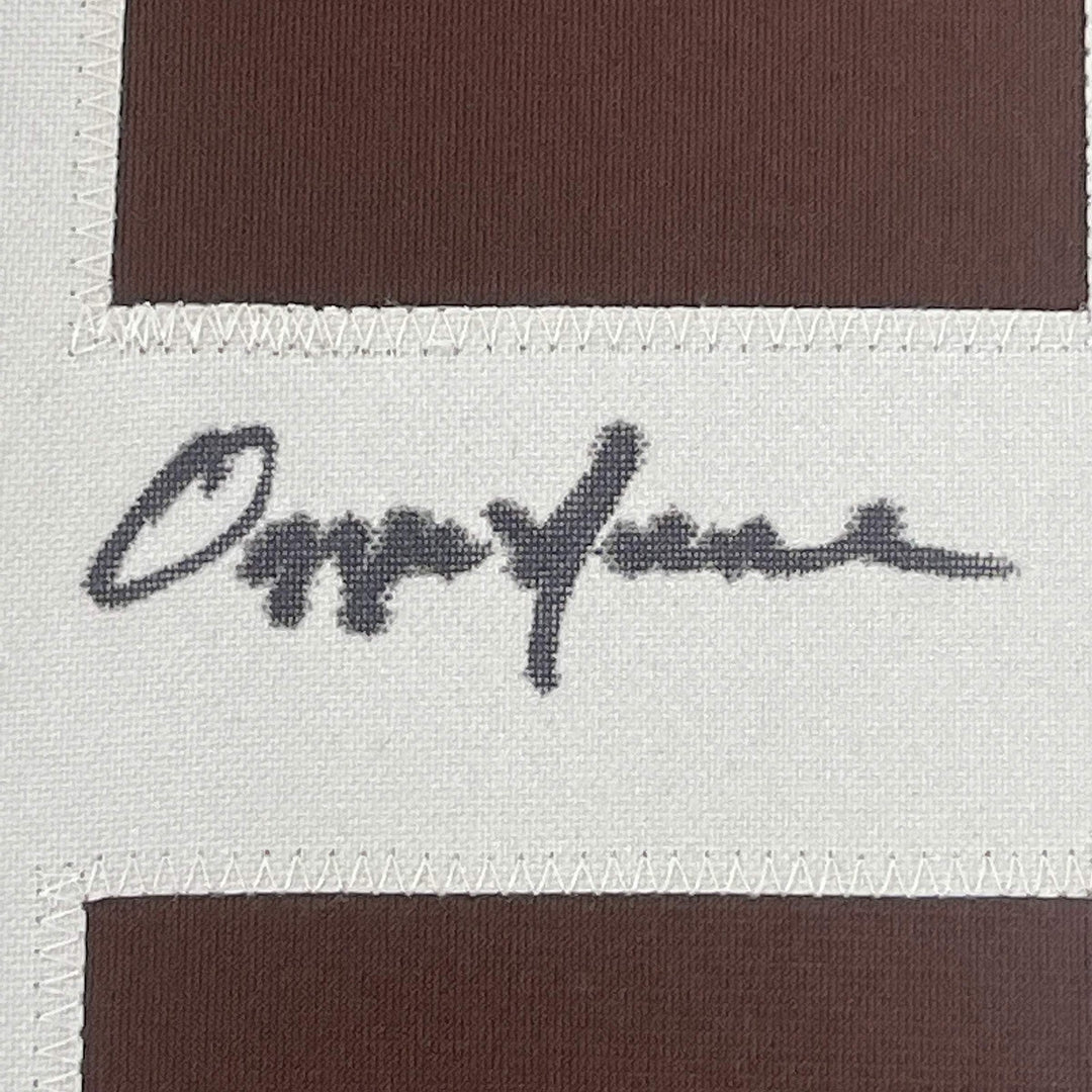 FRAMED Autographed/Signed OZZIE NEWSOME HOF 33x42 Cleveland Brown Jersey JSA COA