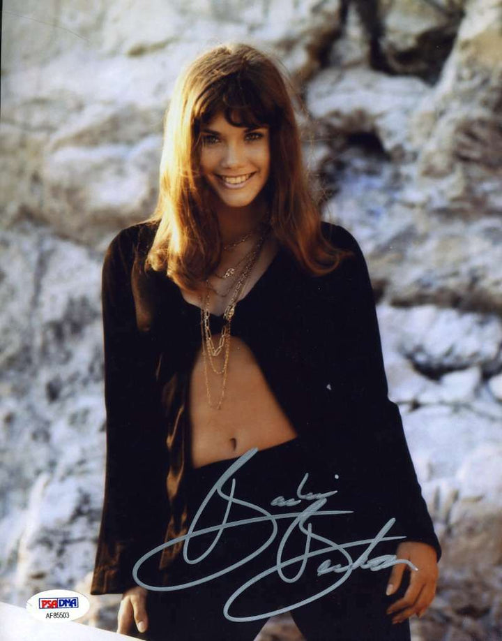 Barbi Benton Psa Dna Coa Autograph 8x10 Photo Hand Signed