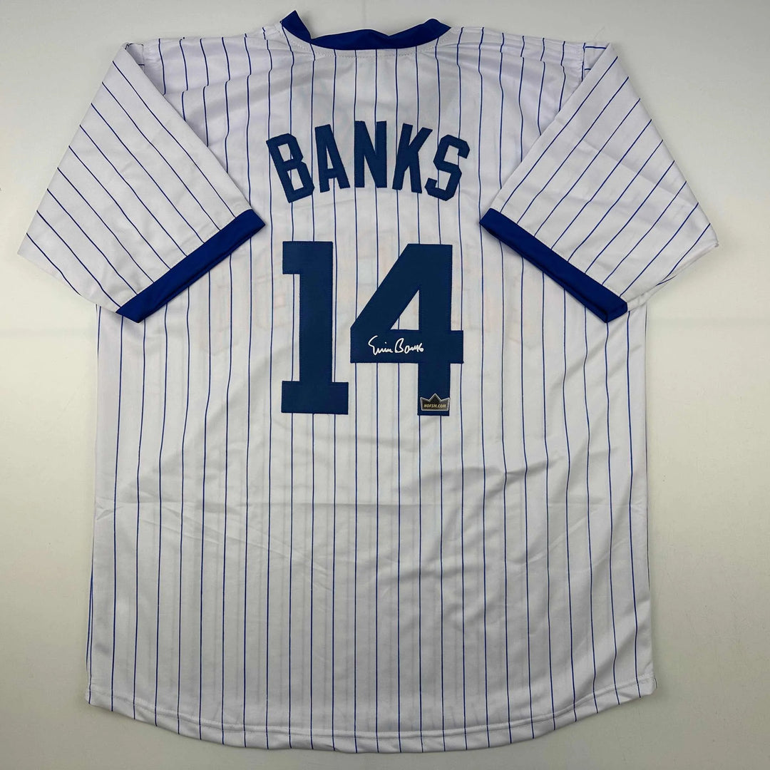 Facsimile Autographed Ernie Banks Chicago Pinstripe Reprint Auto Jersey Men's XL