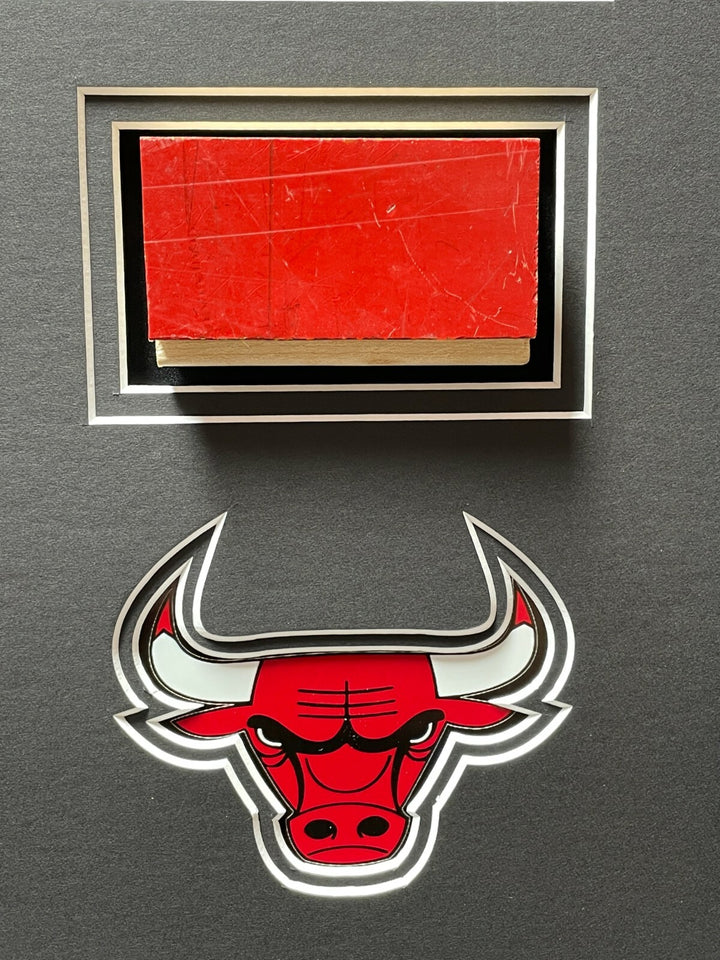 Michael Jordan Magic Johnson Authentic Game Used Bulls Lakers Floors Framed COA