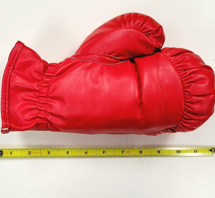Robert De Niro Deniro autograph signed Boxing Glove Raging Bull (B) ~ PSA