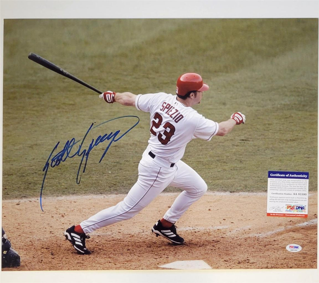 Scott Spiezio signed 16x20 photo Angels Cardinals autograph ~ PSA
