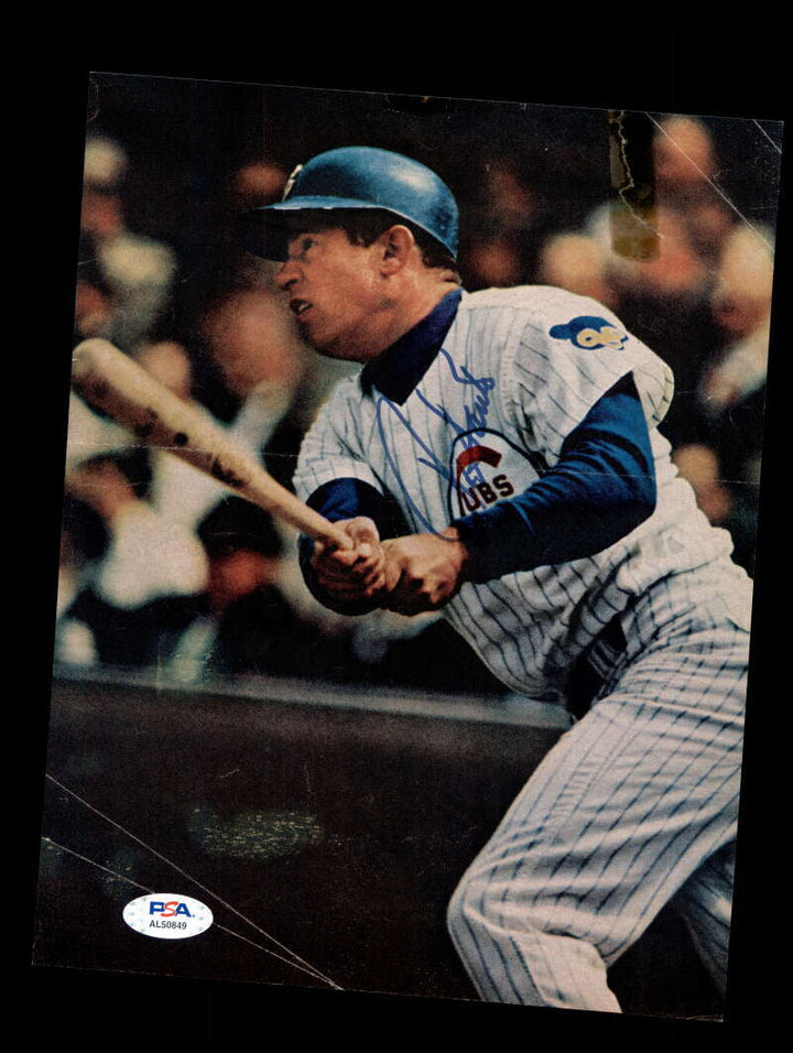 Ron Santo PSA DNA Coa Signed  Vintage 8x10 Photo Autograph Cubs