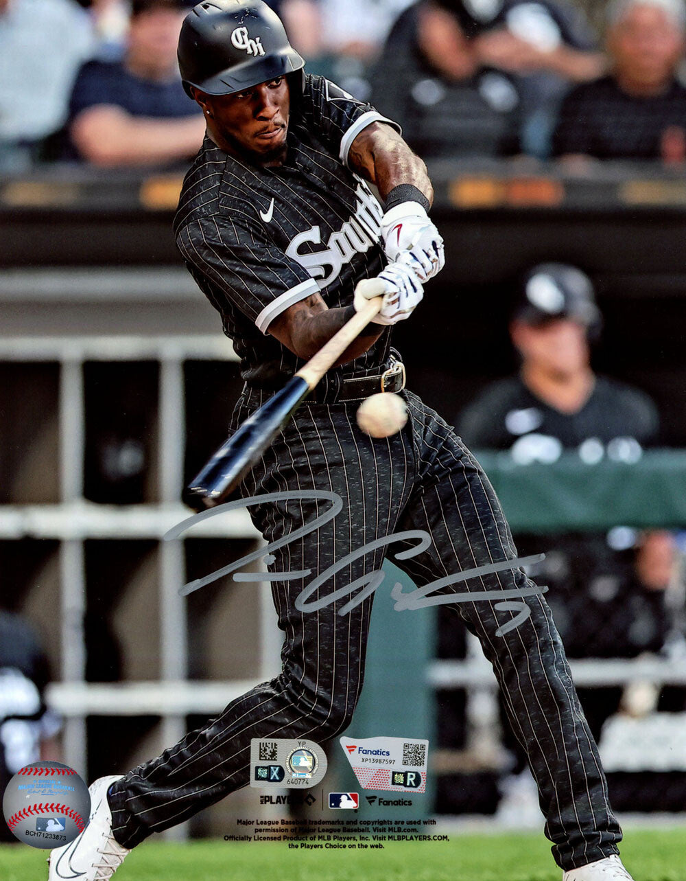 Tim Anderson Autographed Chicago White Sox 8x10 Photo MLB Fanatics 41151