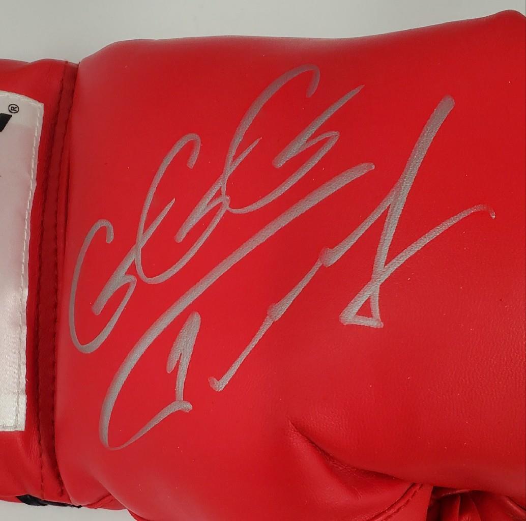 Gennady Golovkin GGG + David Lemieux signed Boxing Glove ~ Beckett BAS Holo