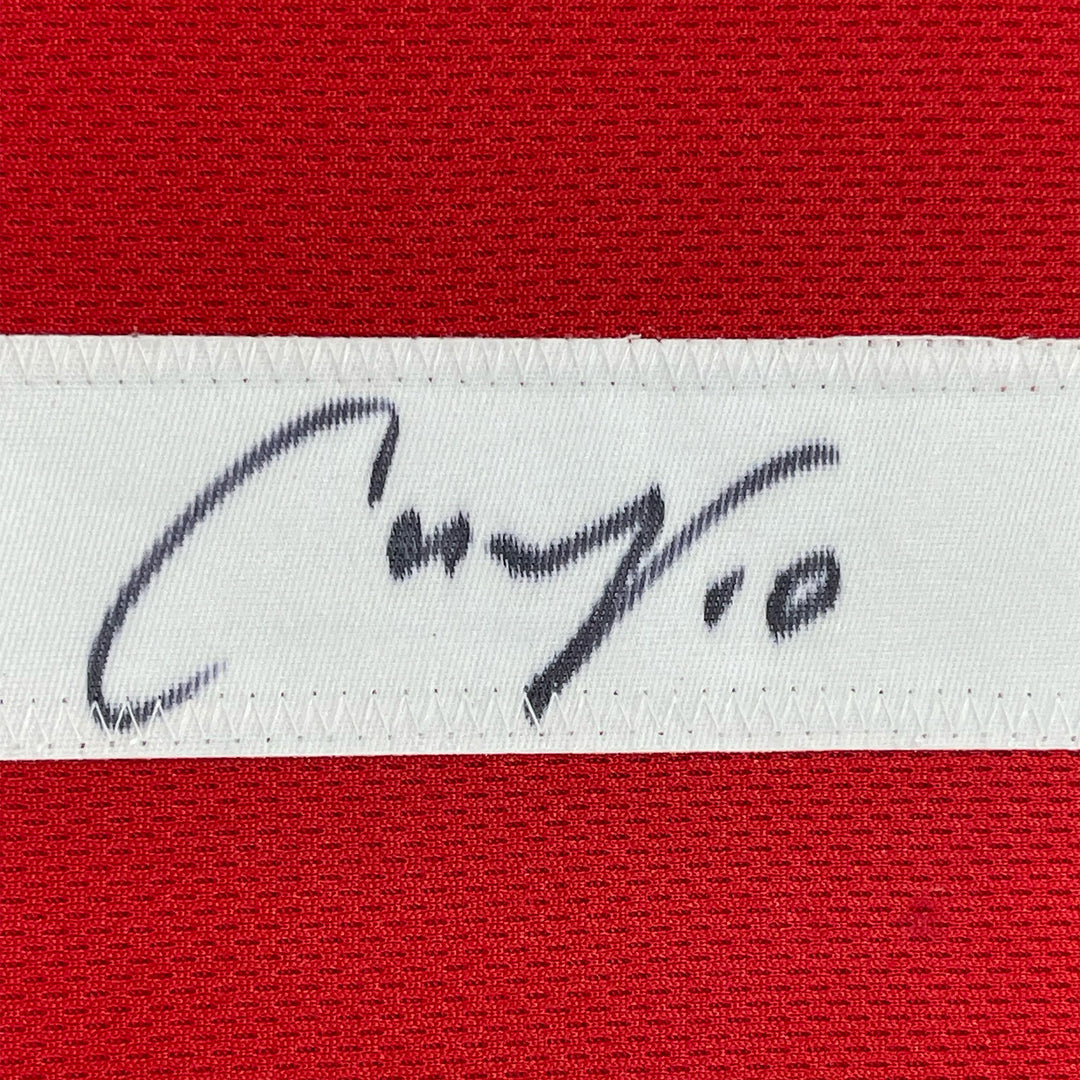 FRAMED Autographed/Signed CARLI LLOYD 33x42 Red Team USA Soccer Jersey JSA COA